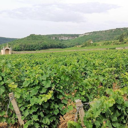 Gite Hautes Cotes De Nuits Curtil-Vergy エクステリア 写真