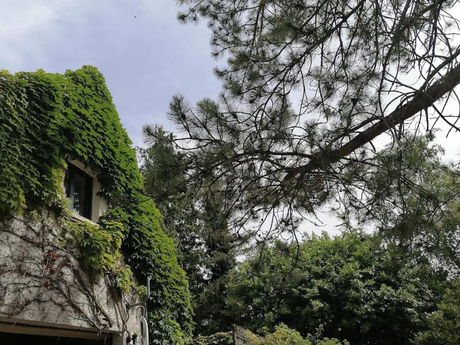 Gite Hautes Cotes De Nuits Curtil-Vergy エクステリア 写真