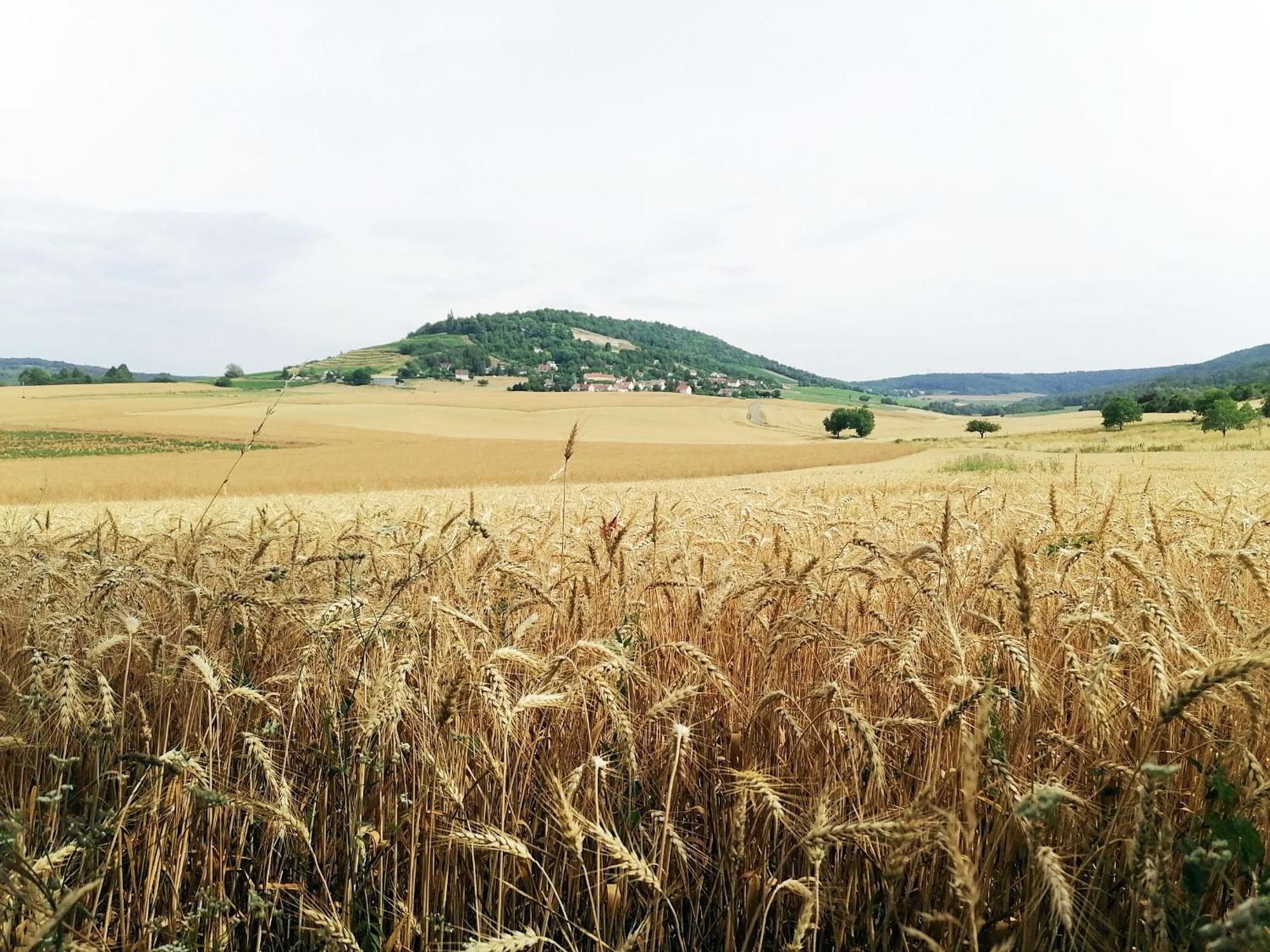 Gite Hautes Cotes De Nuits Curtil-Vergy エクステリア 写真