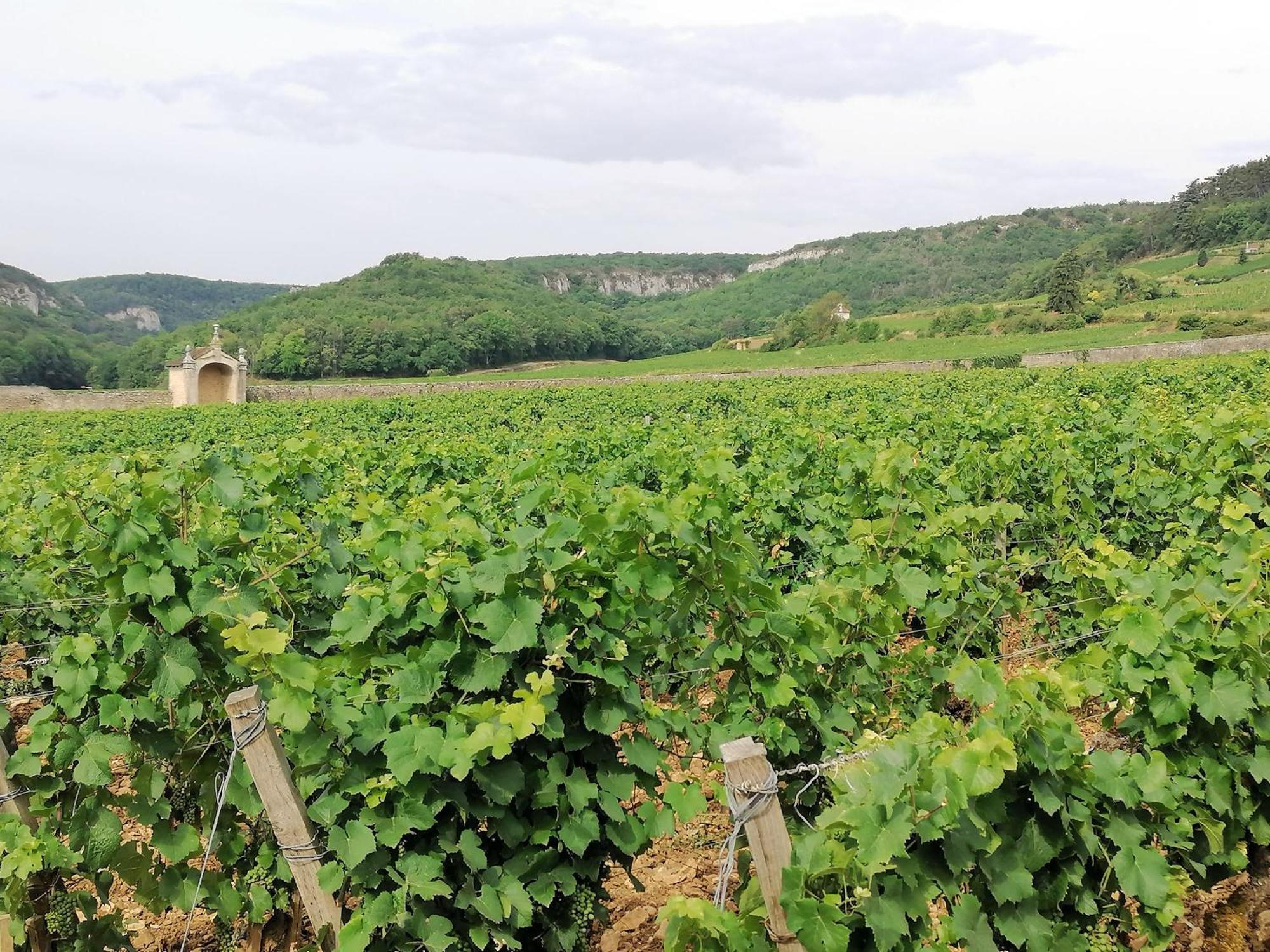 Gite Hautes Cotes De Nuits Curtil-Vergy エクステリア 写真
